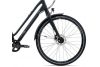 Rower trekkingowy Liv Allure CS 2 GB 2020